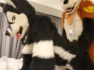 Taiky X Johnny-Huskey MFF’2019