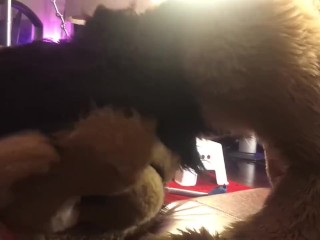 LiondogAri Gangbang Pt 3